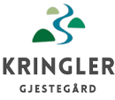 KRINGLER logo